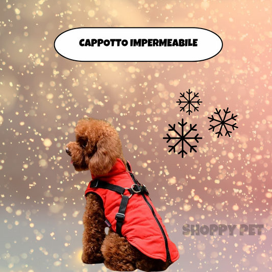 Cappotto Impermeabile