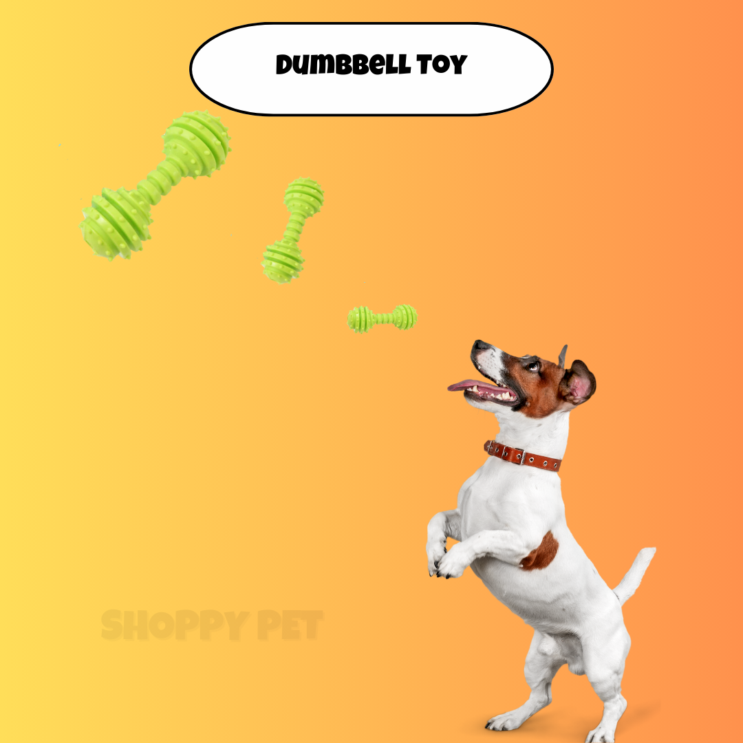 Dumbbell Toy