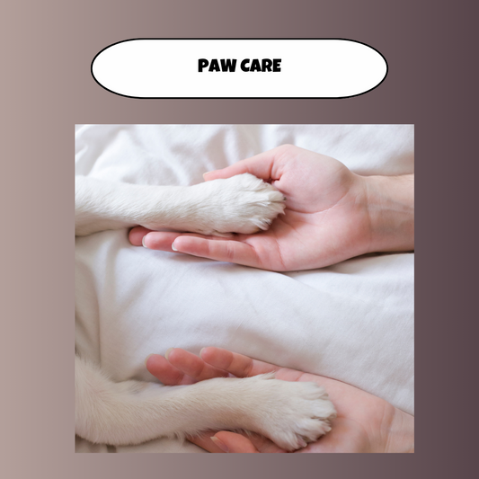 Paw Care