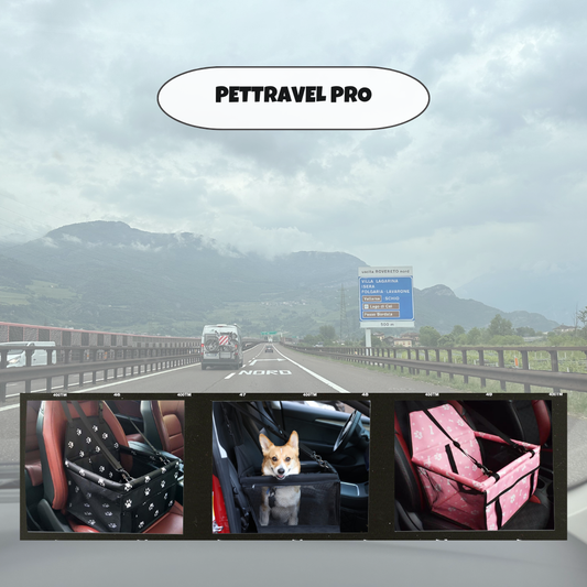 PetTravel Pro