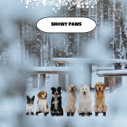 Snowy Paws